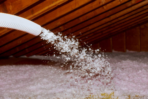Best Insulation Inspection Services  in Steelville, MO