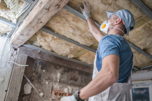 Best Professional Insulation Contractor  in Steelville, MO