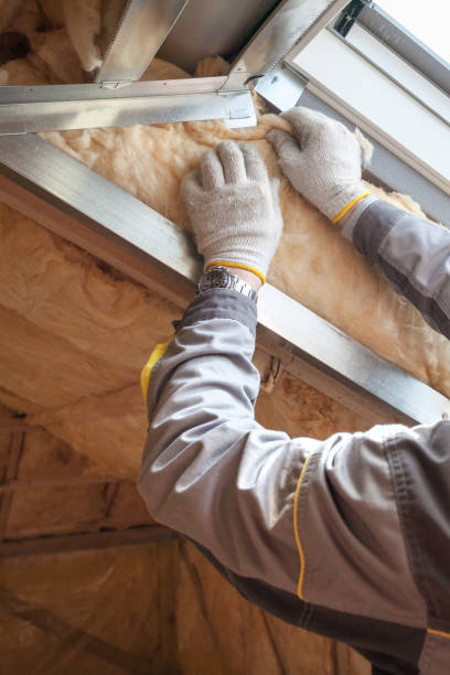 Best Best Insulation Companies  in Steelville, MO
