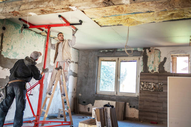 Best Spray Foam Insulation  in Steelville, MO