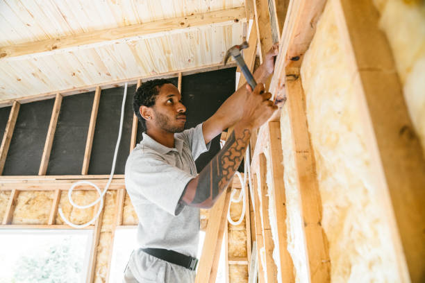 Best Insulation Removal  in Steelville, MO