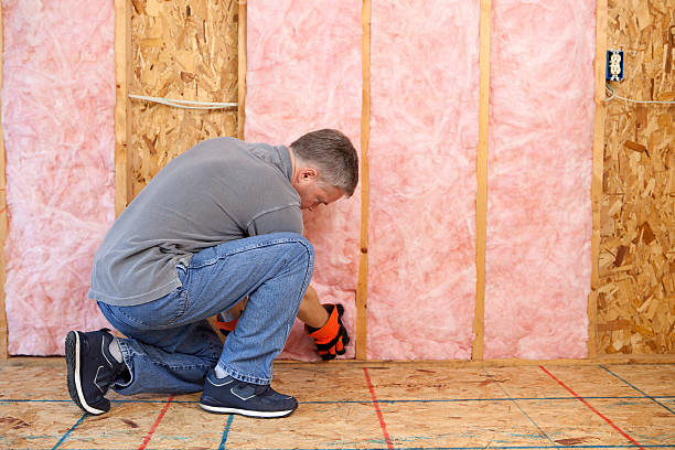 Best Best Insulation Companies  in Steelville, MO