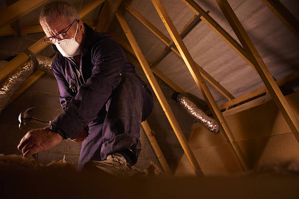 Best Spray Foam Insulation  in Steelville, MO