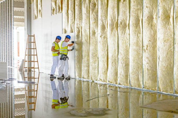 Best Affordable Insulation Services  in Steelville, MO